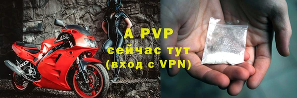 стафф Баксан