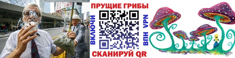 где продают   Пятигорск  Псилоцибиновые грибы прущие грибы 