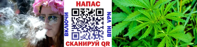Каннабис индика  Пятигорск 